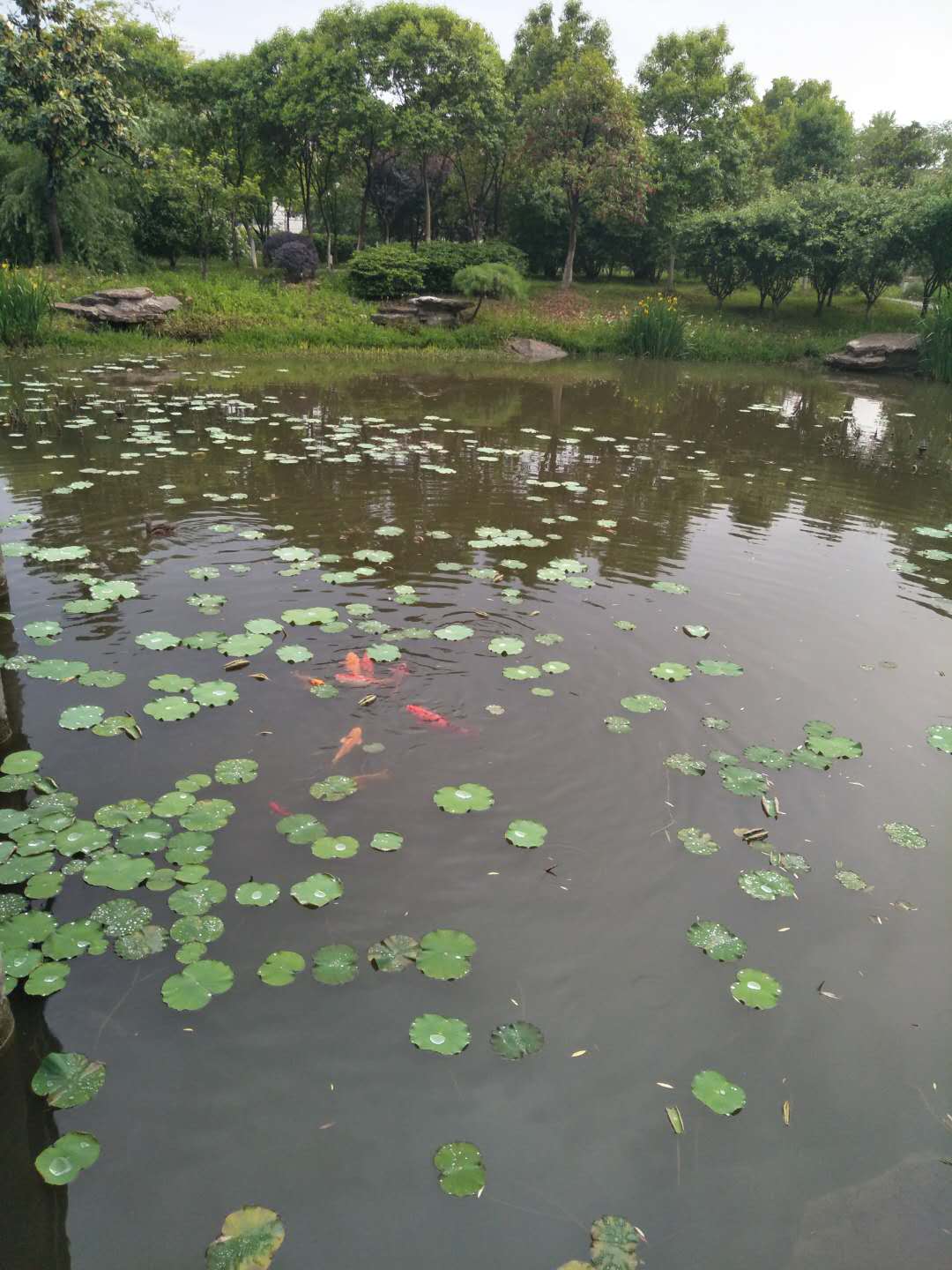 永乐高集团